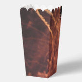 花火20個のポップコーンの箱 フェイバーボックス (裏面)