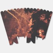 花火20個のポップコーンの箱 フェイバーボックス (見開き)