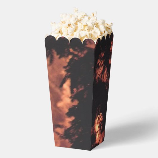 花火20個のポップコーンの箱 フェイバーボックス (はじけた状態)