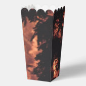 花火20個のポップコーンの箱 フェイバーボックス (正面)