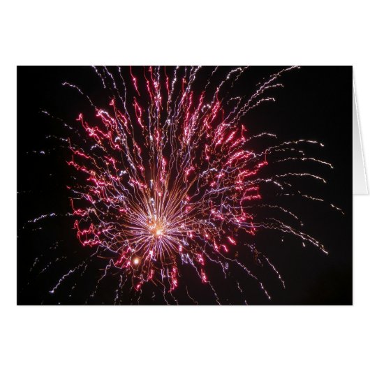 花火4すべて (正面横)