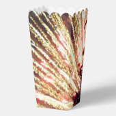 花火7月ポップコーン箱11 4日 フェイバーボックス (裏面)