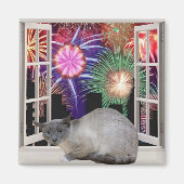 花火 マグネット (正面)