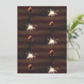 花火 招待状 (スタンド正面)