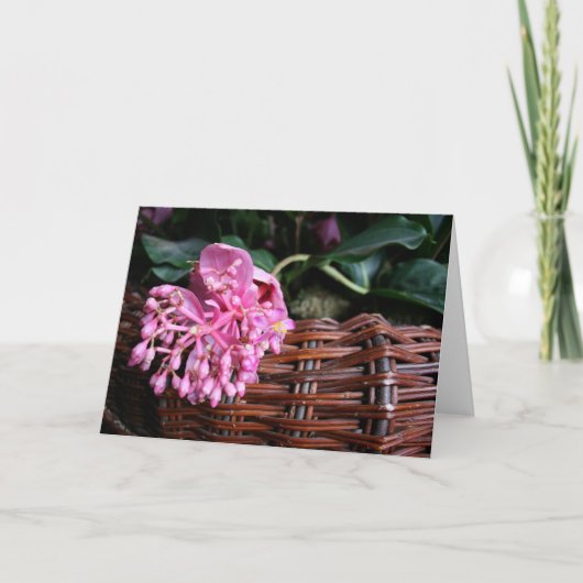 花独身の咲 カード (正面)