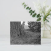 花独身の。 ポストカード (スタンド正面)