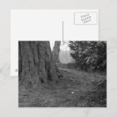 花独身の。 ポストカード (正面/裏面)