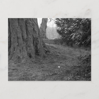 花独身の。 ポストカード