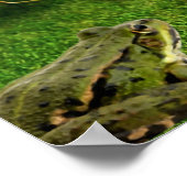 花猫花子猫カエル写真ポスターnatur ポスター (角)