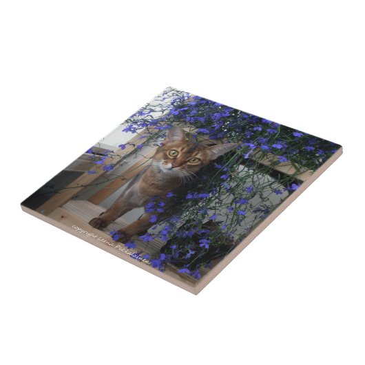 花猫 タイル (側面)