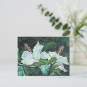 花王5 ポストカード (スタンド正面)