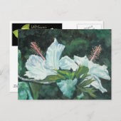 花王5 ポストカード (正面/裏面)