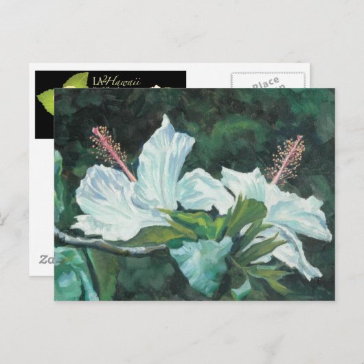 花王5 ポストカード (正面/裏面)