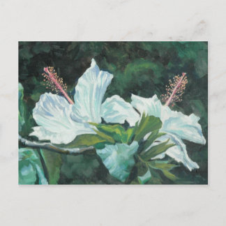 花王5 ポストカード