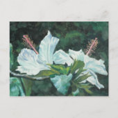 花王5 ポストカード (正面)