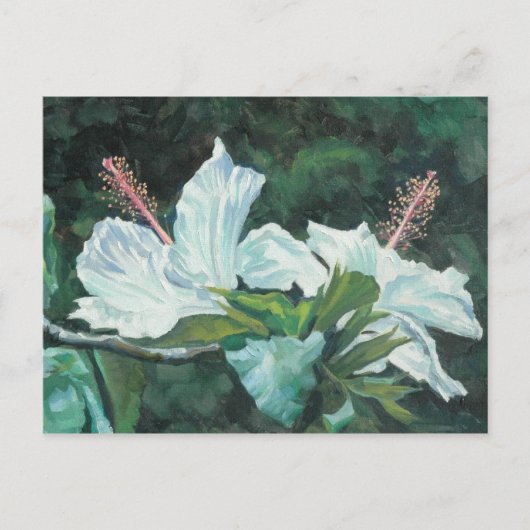 花王5 ポストカード (正面)