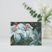 花王6 ポストカード (スタンド正面)