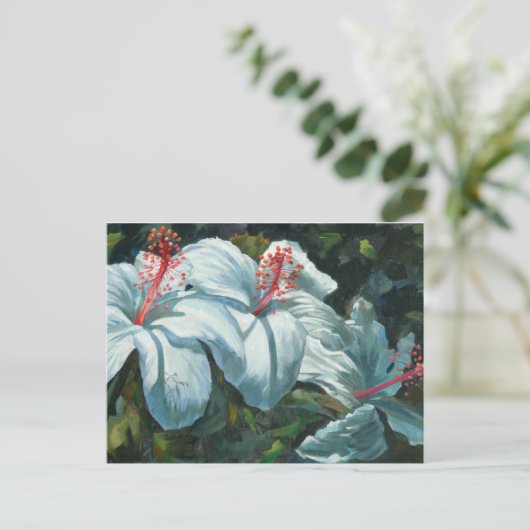 花王6 ポストカード (スタンド正面)