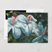 花王6 ポストカード (正面/裏面)