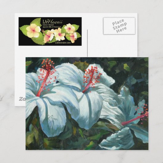 花王6 ポストカード (正面/裏面)