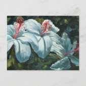 花王6 ポストカード (正面)