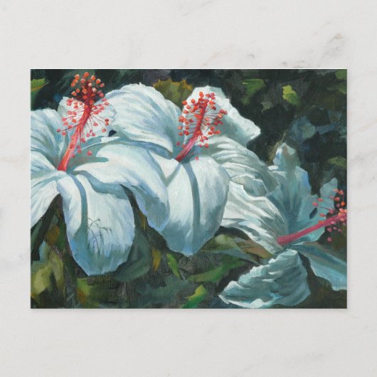 花王6 ポストカード (正面)