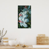 花王 ポスター (キッチン)