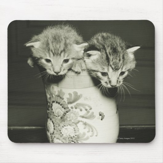 花瓶に隠れている子猫2匹(B&W) マウスパッド (正面)