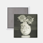 花瓶に隠れている子猫2匹(B&W) マグネット (正面/裏面)