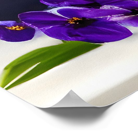 花瓶のデイジーの花束 ポスター (角)