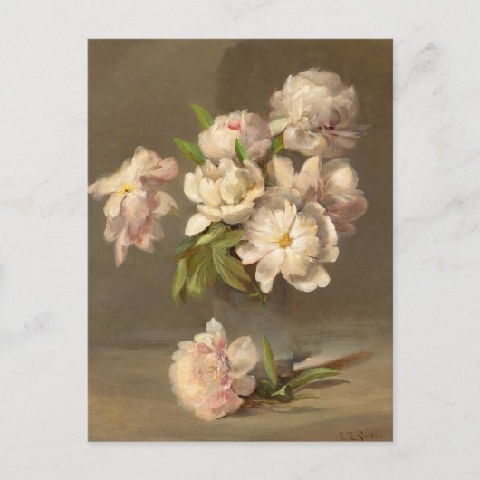 花瓶の牡丹 | チャールズ・イーサン・ポーター ポストカード (正面)