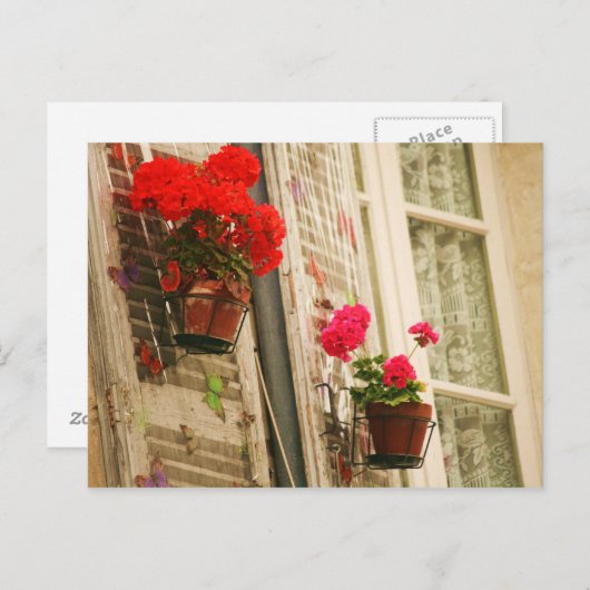 花瓶 ポストカード (正面/裏面)