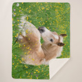 花畑で休むかわいいハフリンガー馬の子 , シェルパブランケット (正面)