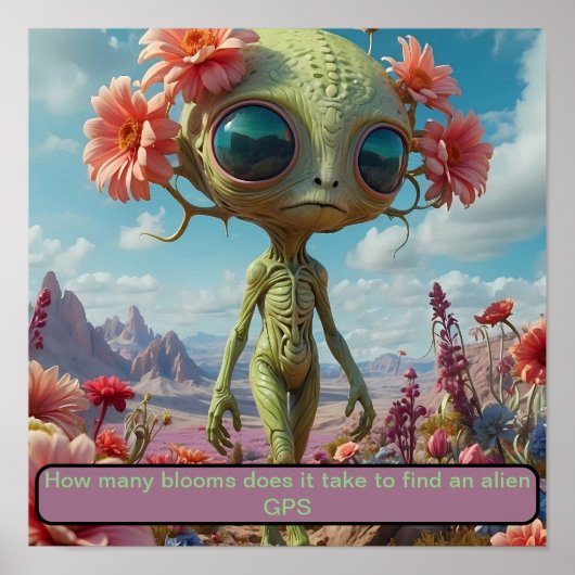 花畑に迷って ポスター (正面)