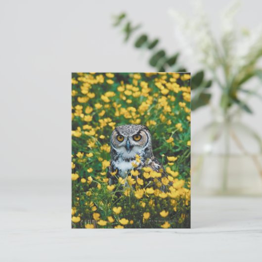 花畑のオレンジ色の目をしたフクロウ ポストカード (スタンド正面)
