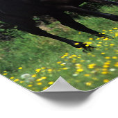 花畑のサラブレッド馬 ポスター (角)