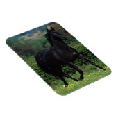 花畑のサラブレッド馬 マグネット (右側)