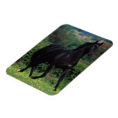 花畑のサラブレッド馬 マグネット (左側)