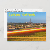 花畑のポストカード ポストカード (正面/裏面)