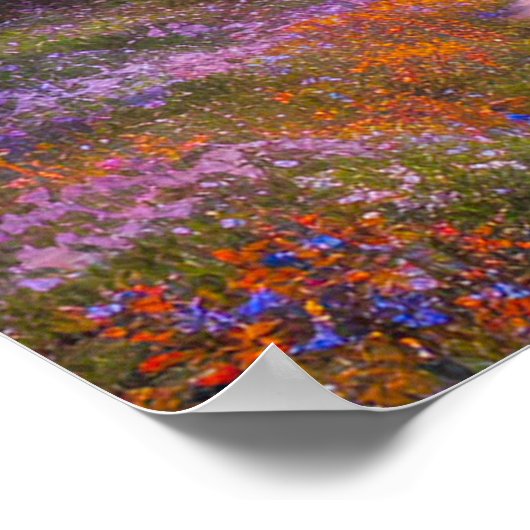 花畑の探索 ポスター (角)