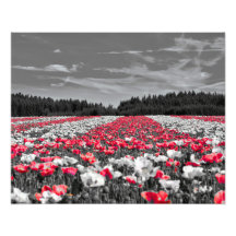 花畑ミニマル選択色写真