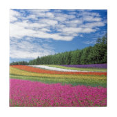 花畑 タイル (正面)