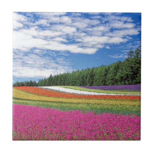花畑 タイル (正面)