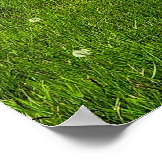 花畑 ポスター (角)