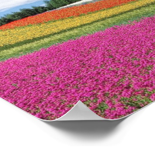 花畑 ポスター (角)