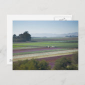 花畑 ポストカード (正面/裏面)