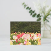 花畑 ポストカード (スタンド正面)