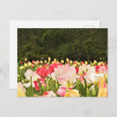 花畑 ポストカード (正面/裏面)