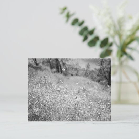 花畑 ポストカード (スタンド正面)