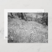 花畑 ポストカード (正面/裏面)